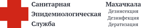 СЭС Махачкалы